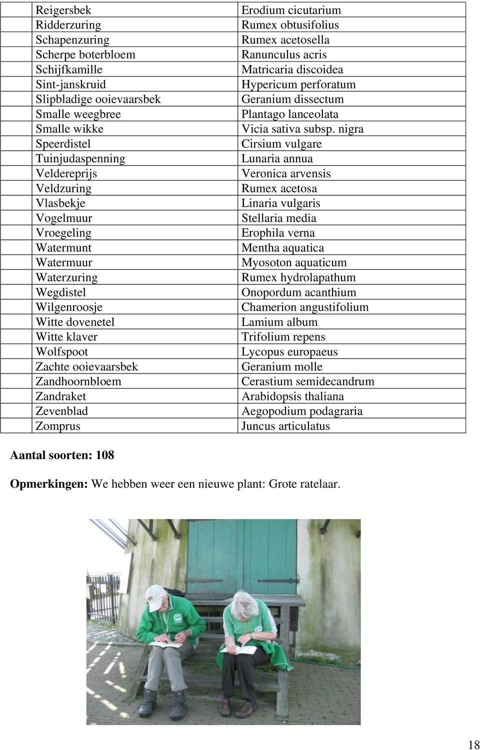 cicutarium Rumex obtusifolius Rumex acetosella Ranunculus acris Matricaria discoidea Hypericum perforatum Geranium dissectum Plantago lanceolata Vicia sativa subsp.