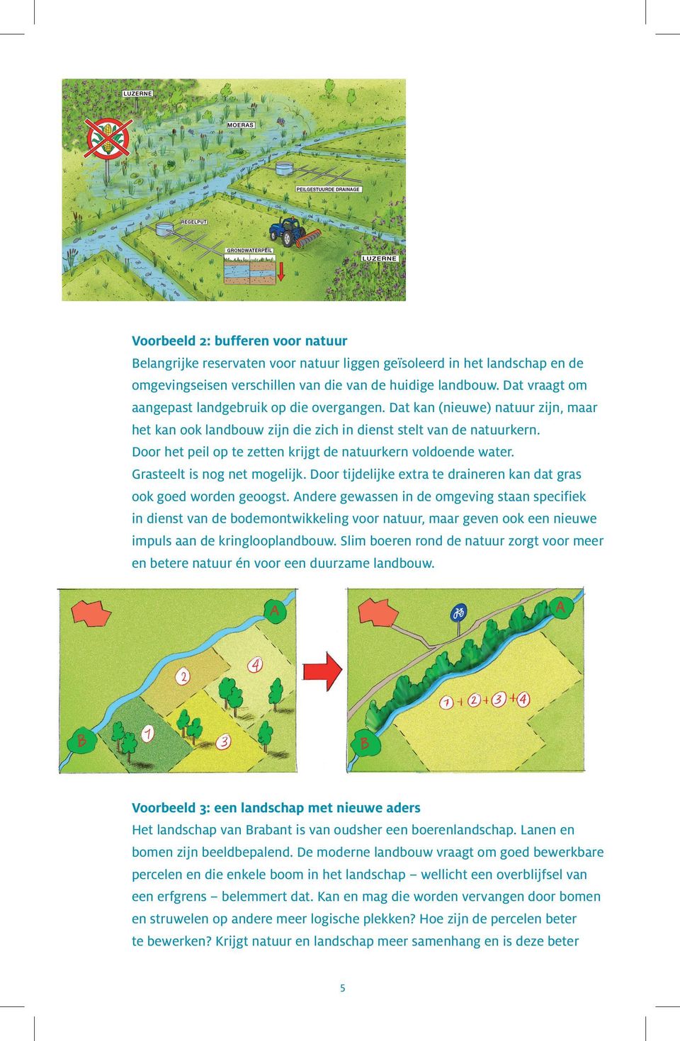 Door het peil op te zetten krijgt de natuurkern voldoende water. Grasteelt is nog net mogelijk. Door tijdelijke extra te draineren kan dat gras ook goed worden geoogst.