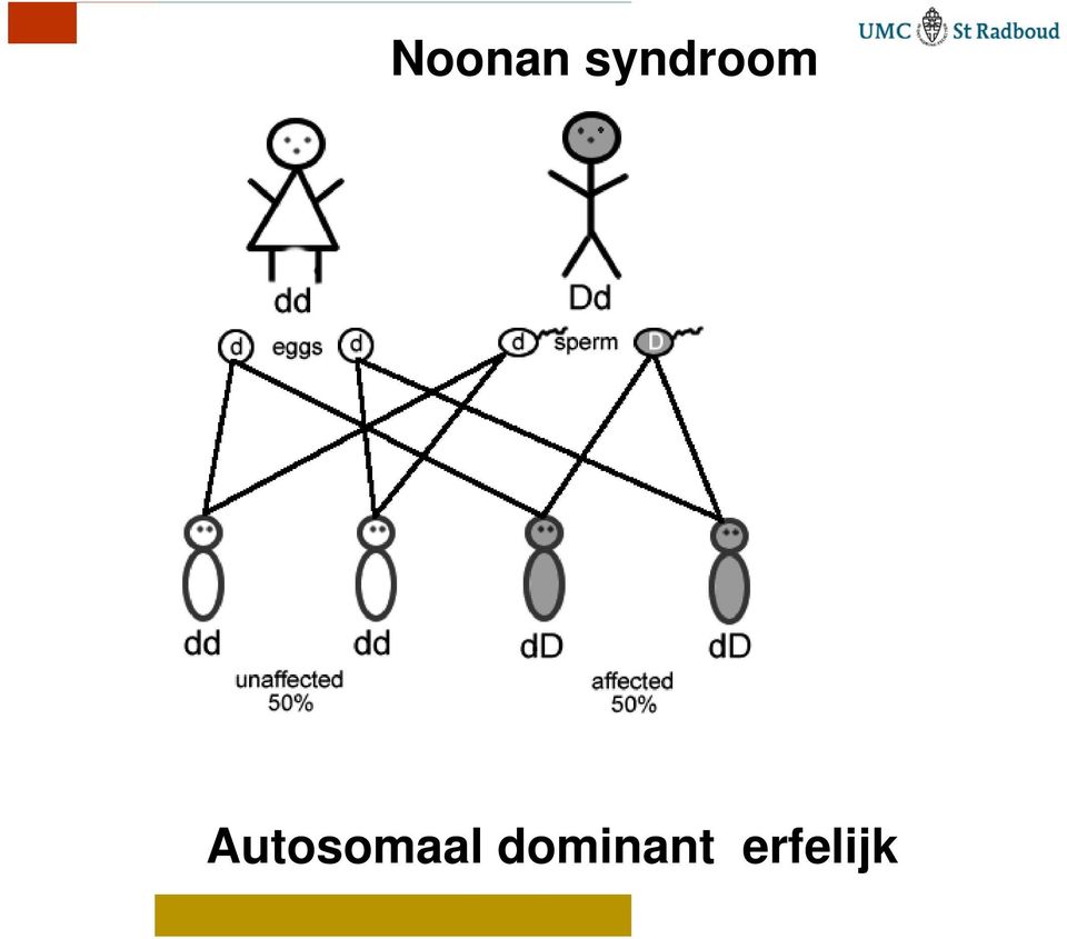 Autosomaal