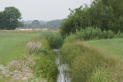 Met relatief eenvoudige maatregelen waar een vergoeding tegenover staat, wordt het vanaf 2016 mogelijk pakketten waterbeheer af te sluiten in het stelsel van agrarisch natuurbeheer.