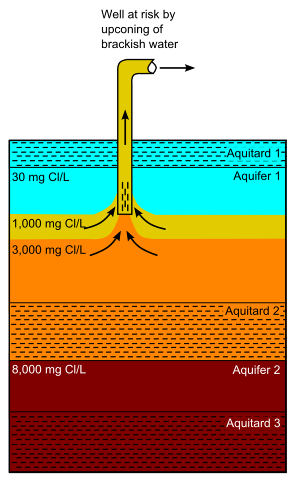 How to prevent salinization of coastal well fields?