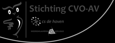 Kernverantwrdelijkheden van de schlleiding binnen St. CVO-AV als eind verantwrdelijke p directieniveau: A.