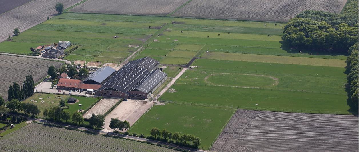 De paarden en pony s hebben genoten van heerlijke zonnige dagen, maar soms ook wel van een heftige regenbui.