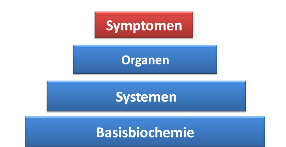 De individuele basisbiochemie Niet alleen SNP s voor methylering, maar voor duizenden andere enzymatische reacties, honderden receptoren, cytokinen en