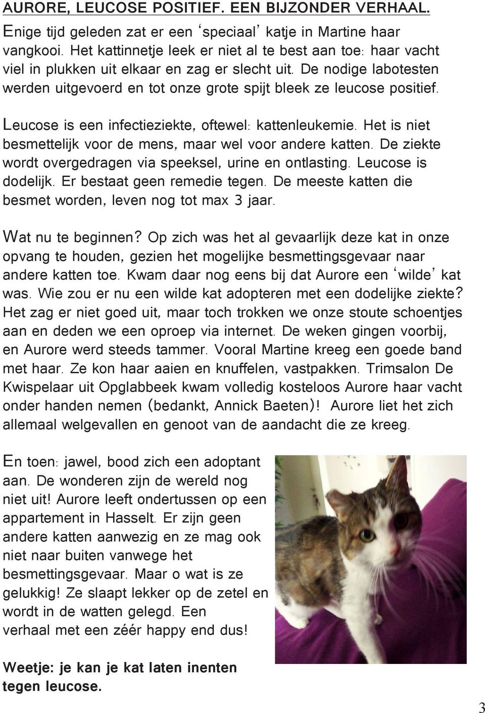 Leucose is een infectieziekte, oftewel: kattenleukemie. Het is niet besmettelijk voor de mens, maar wel voor andere katten. De ziekte wordt overgedragen via speeksel, urine en ontlasting.