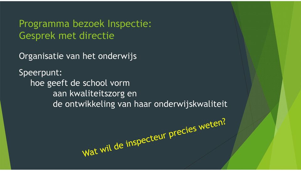 Speerpunt: hoe geeft de school vorm aan