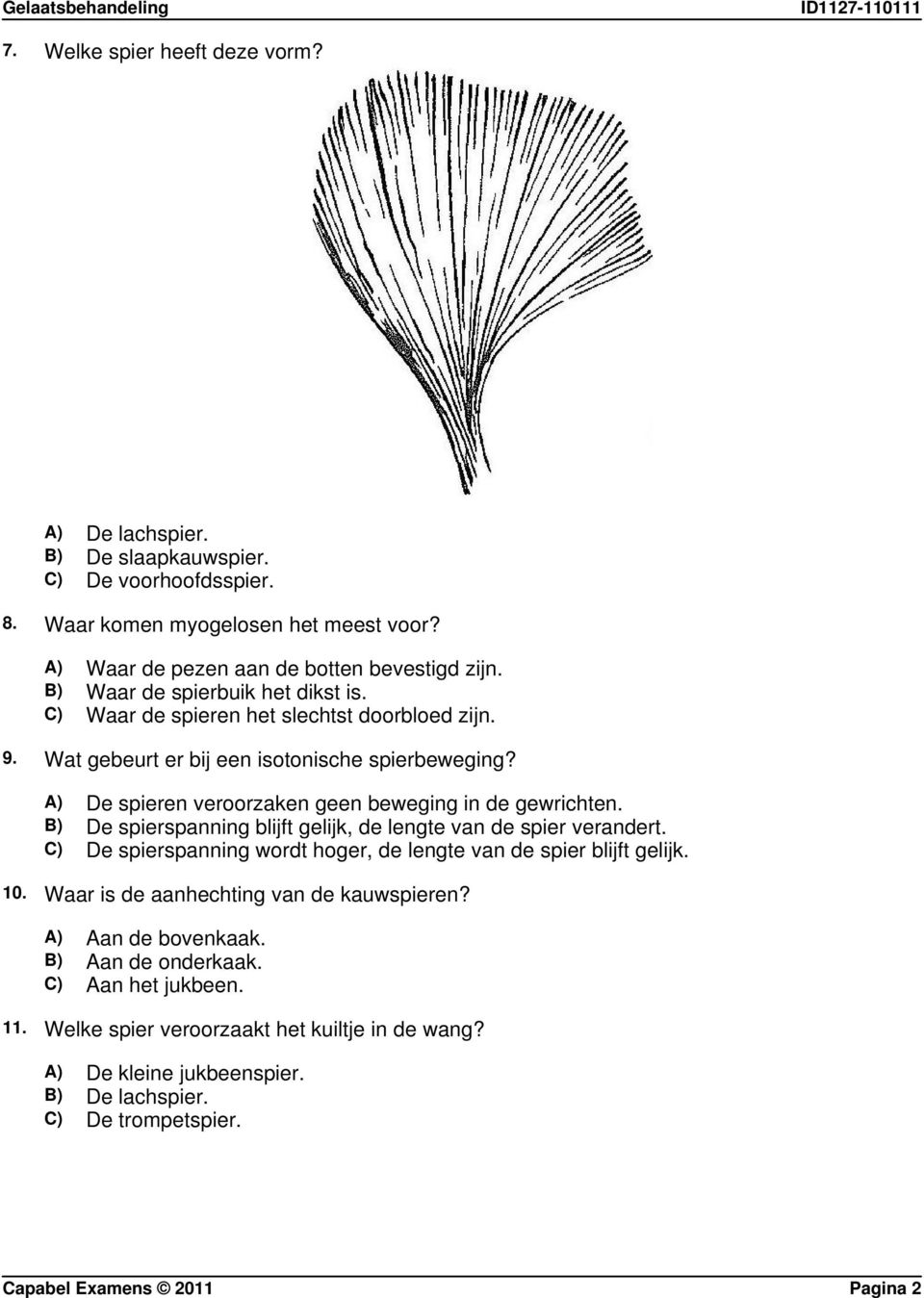 B) De spierspanning blijft gelijk, de lengte van de spier verandert. C) De spierspanning wordt hoger, de lengte van de spier blijft gelijk. 10. Waar is de aanhechting van de kauwspieren?