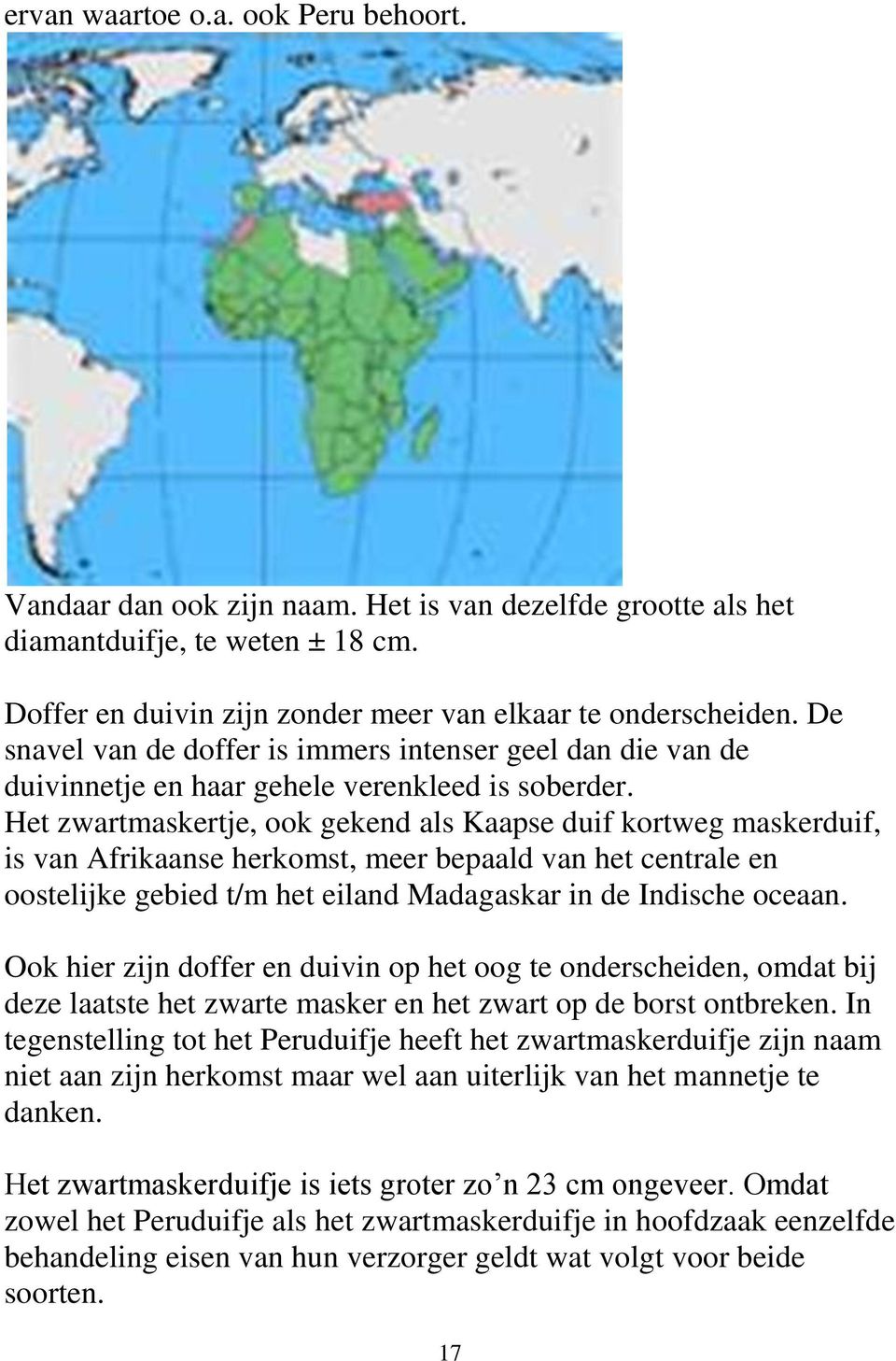 Het zwartmaskertje, ook gekend als Kaapse duif kortweg maskerduif, is van Afrikaanse herkomst, meer bepaald van het centrale en oostelijke gebied t/m het eiland Madagaskar in de Indische oceaan.