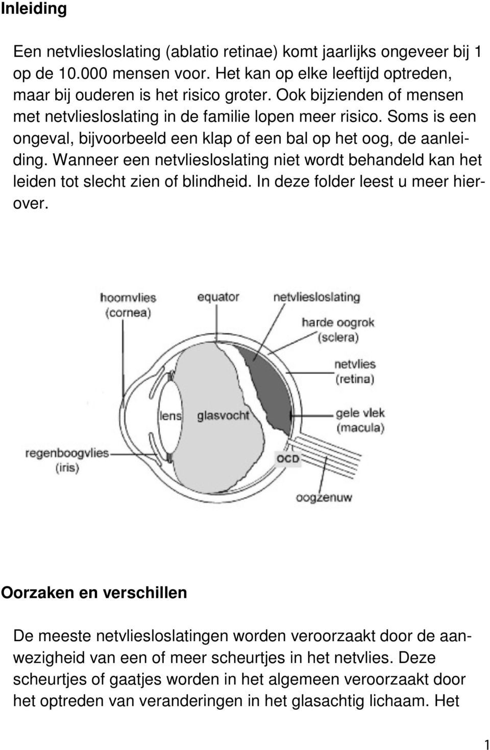 Wanneer een netvliesloslating niet wordt behandeld kan het leiden tot slecht zien of blindheid. In deze folder leest u meer hierover.