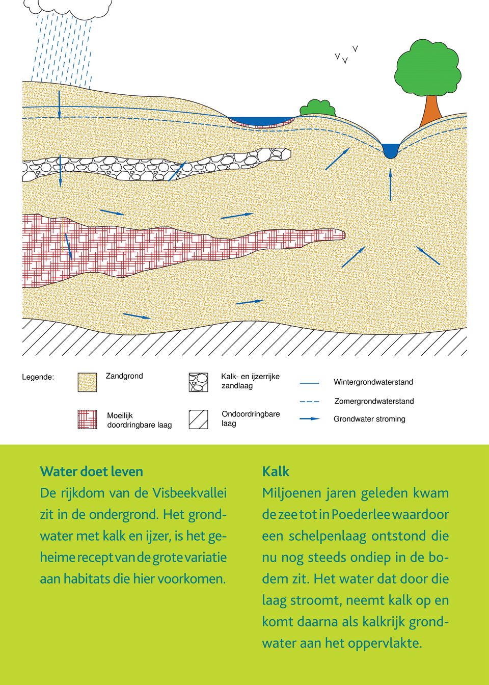 Het grondwater met kalk en ijzer, is het geheime recept van de grote variatie aan habitats die hier voorkomen.