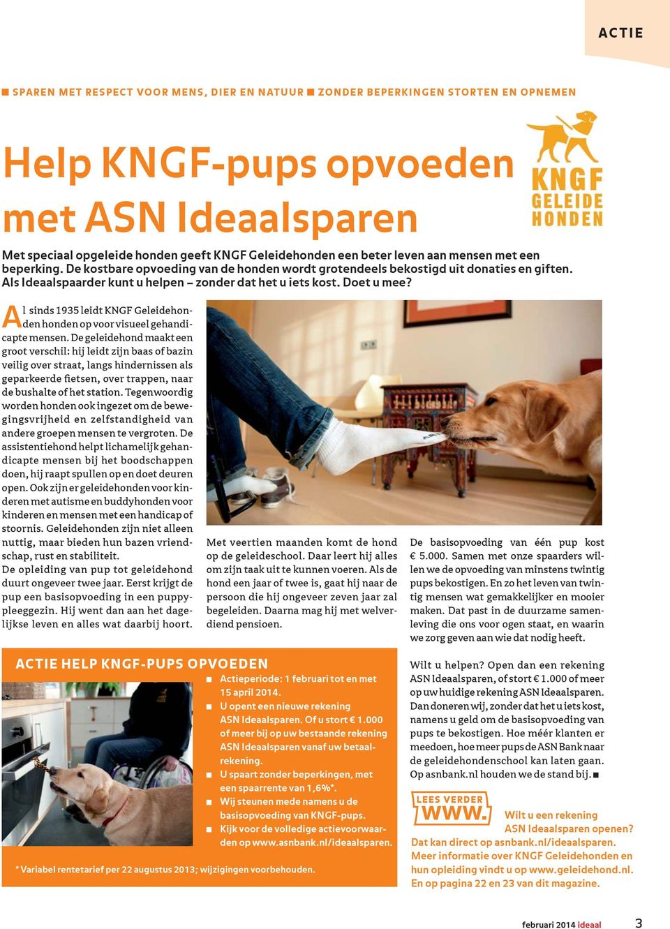 Al sinds 1935 leidt KNGF Geleidehonden honden op voor visueel gehandicapte mensen.