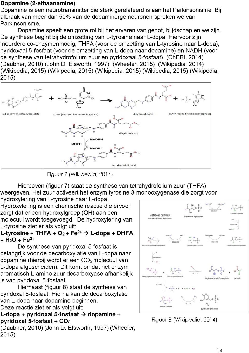 Hiervoor zijn meerdere co-enzymen nodig, THFA (voor de omzetting van L-tyrosine naar L-dopa), pyridoxaal 5-fosfaat (voor de omzetting van L-dopa naar dopamine) en NADH (voor de synthese van