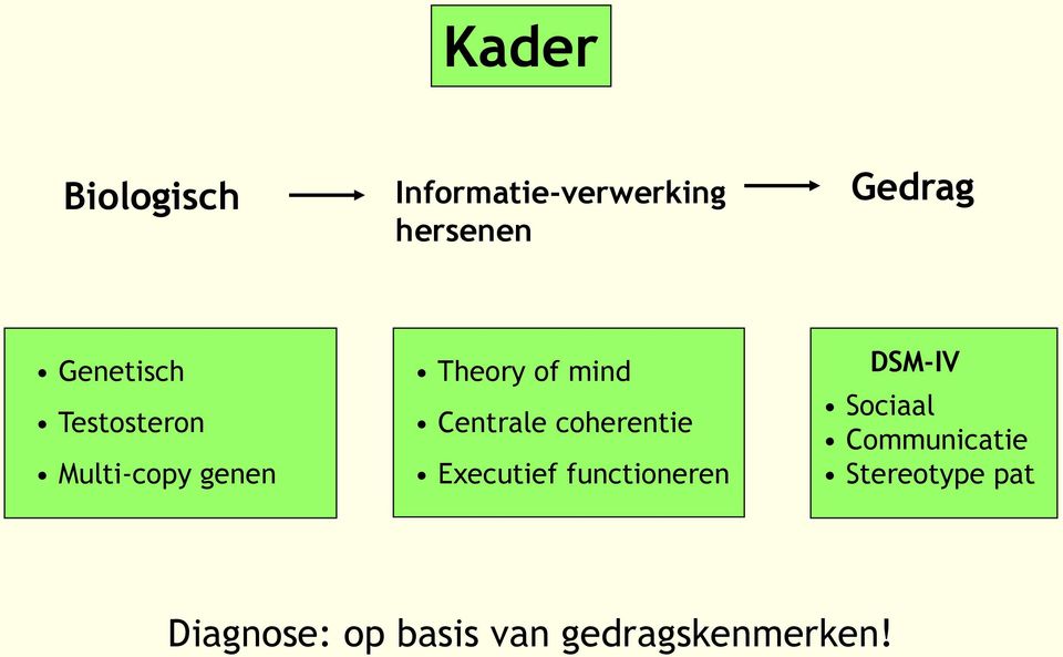 Centrale coherentie Executief functioneren DSM-IV Sociaal