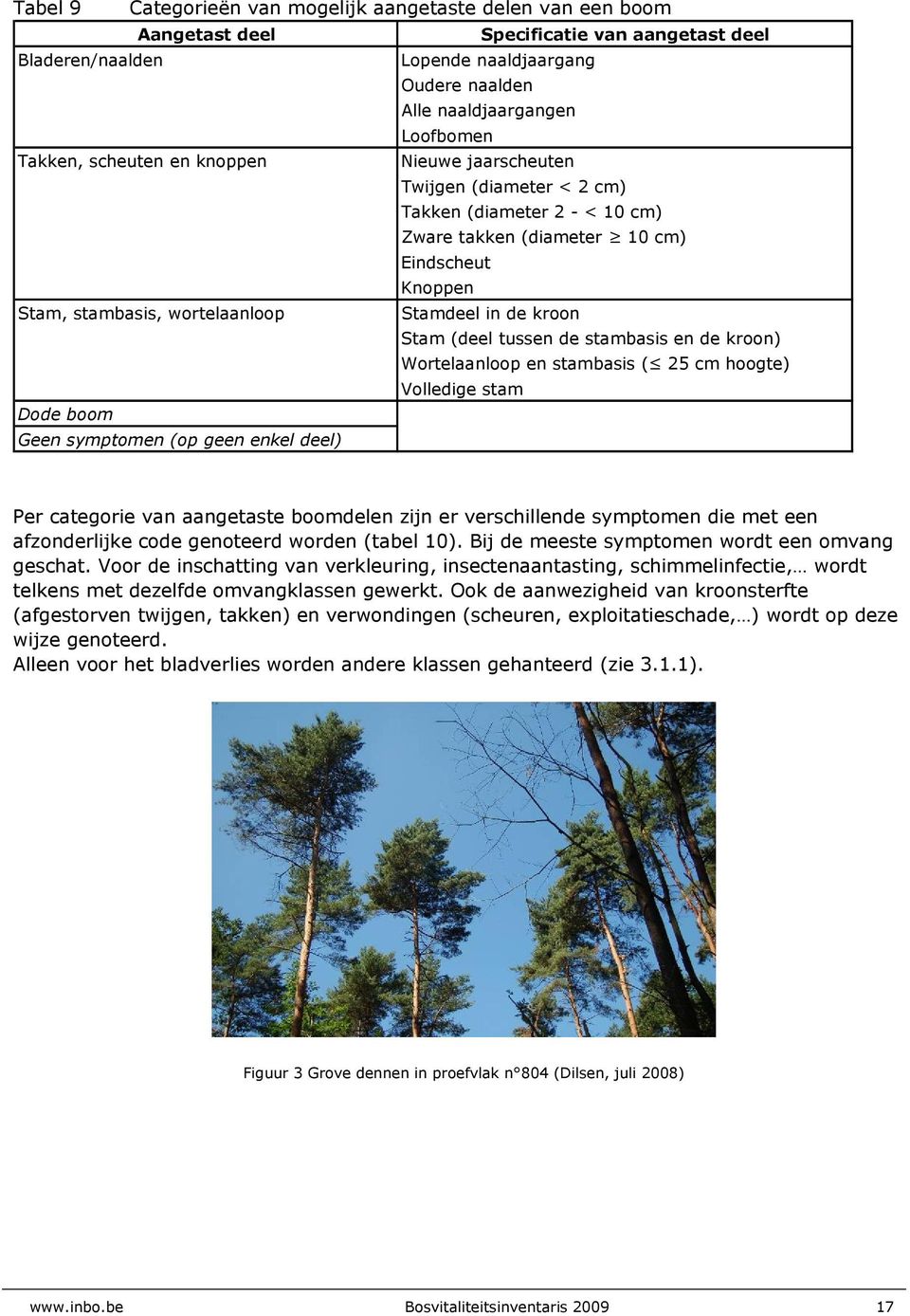 kroon Stam (deel tussen de stambasis en de kroon) Wortelaanloop en stambasis ( 25 cm hoogte) Volledige stam Dode boom Geen symptomen (op geen enkel deel) Per categorie van aangetaste boomdelen zijn