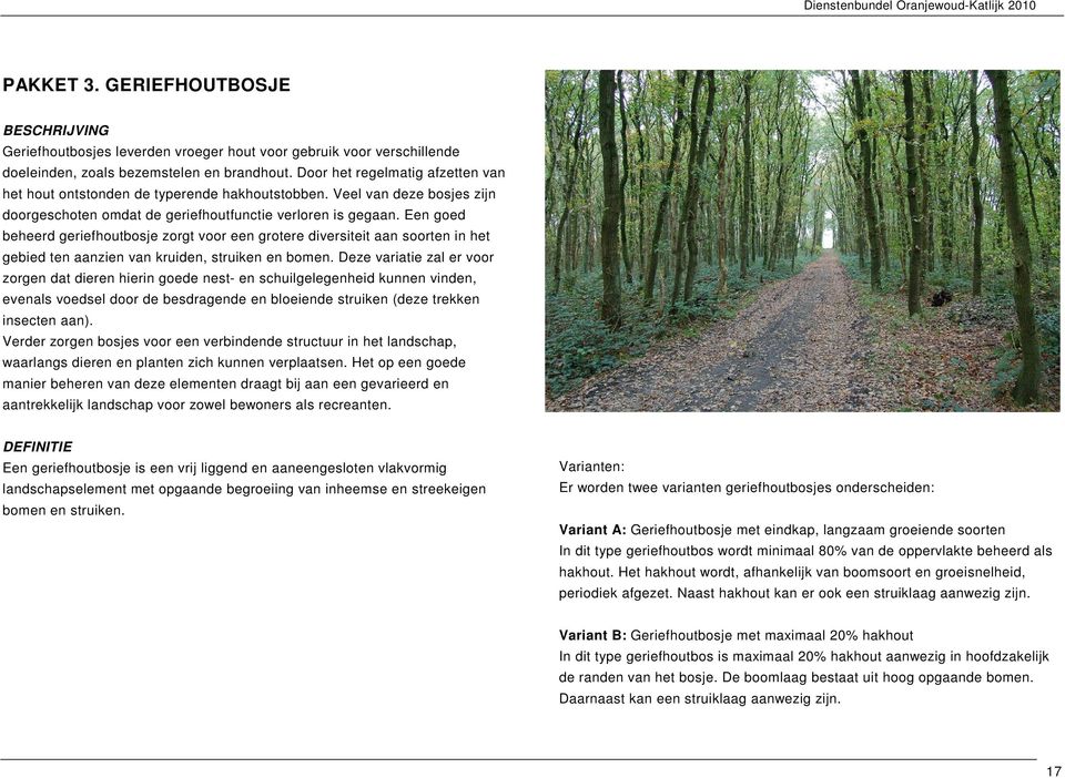 Een goed beheerd geriefhoutbosje zorgt voor een grotere diversiteit aan soorten in het gebied ten aanzien van kruiden, struiken en bomen.