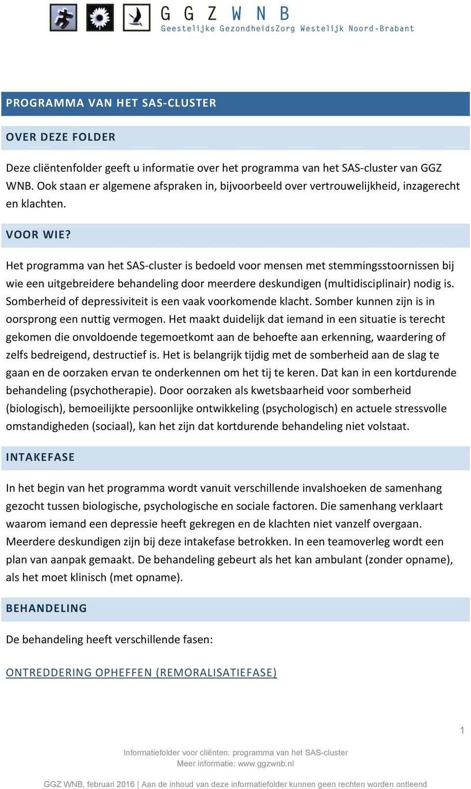 Het programma van het SAS-cluster is bedoeld voor mensen met stemmingsstoornissen bij wie een uitgebreidere behandeling door meerdere deskundigen (multidisciplinair) nodig is.