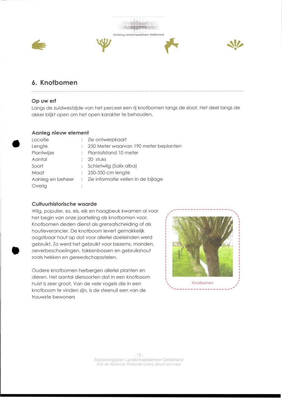 Aanleg nieuw element Locatie : Zie ontwerpkaart Lengte : 250 Meter waarvan 190 meter beplanten Plantwijze : Plantafstand 10 meter Aantal : 20 stuks Soort : Schietwilg (Salix alba) Maat : 250-350 cm