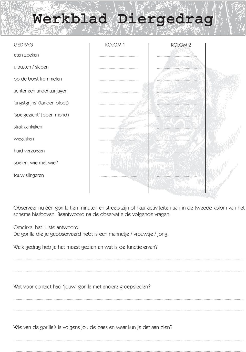 ..... Observeer nu één gorilla tien minuten en streep zijn of haar activiteiten aan in de tweede kolom van het schema hierboven.