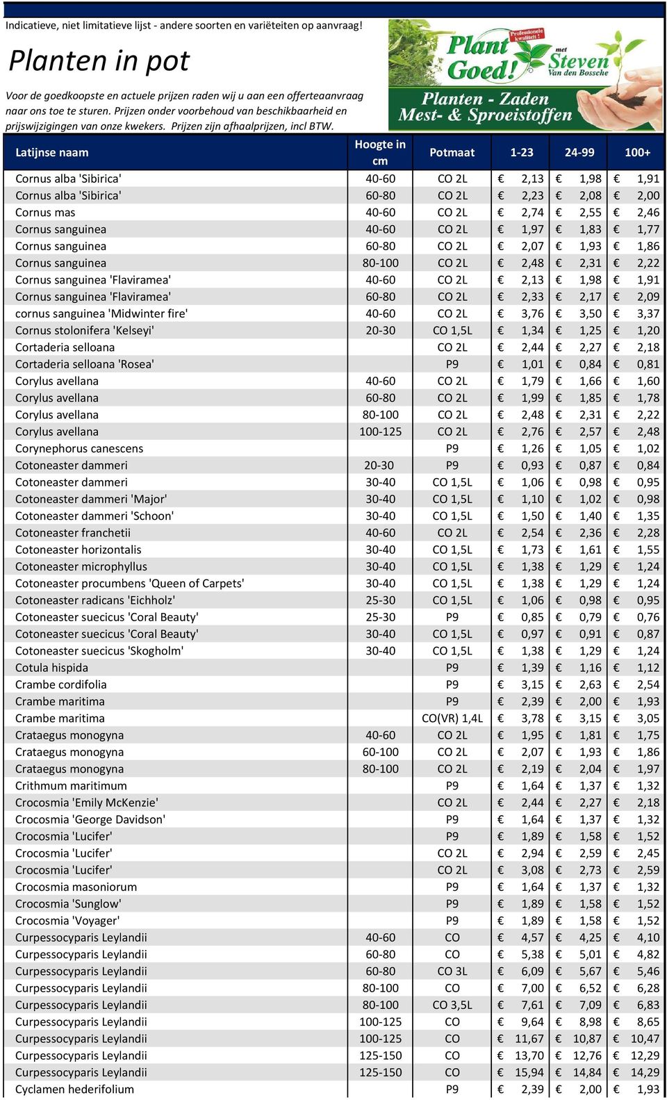 sanguinea 'Midwinter fire' 40-60 CO 2L 3,76 3,50 3,37 Cornus stolonifera 'Kelseyi' 20-30 CO 1,5L 1,34 1,25 1,20 Cortaderia selloana CO 2L 2,44 2,27 2,18 Cortaderia selloana 'Rosea' P9 1,01 0,84 0,81