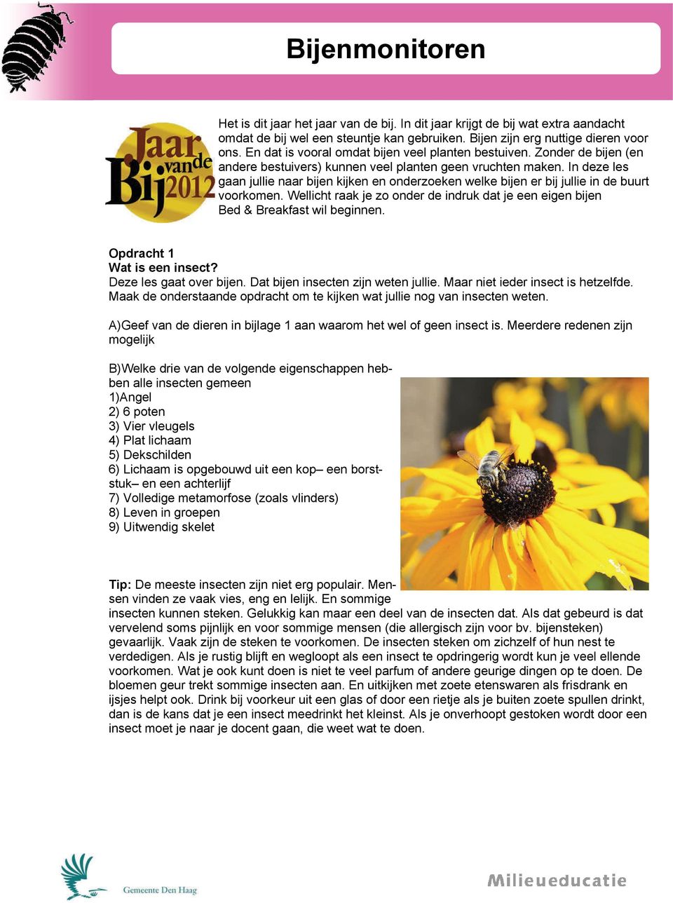 In deze les gaan jullie naar bijen kijken en onderzoeken welke bijen er bij jullie in de buurt voorkomen. Wellicht raak je zo onder de indruk dat je een eigen bijen Bed & Breakfast wil beginnen.