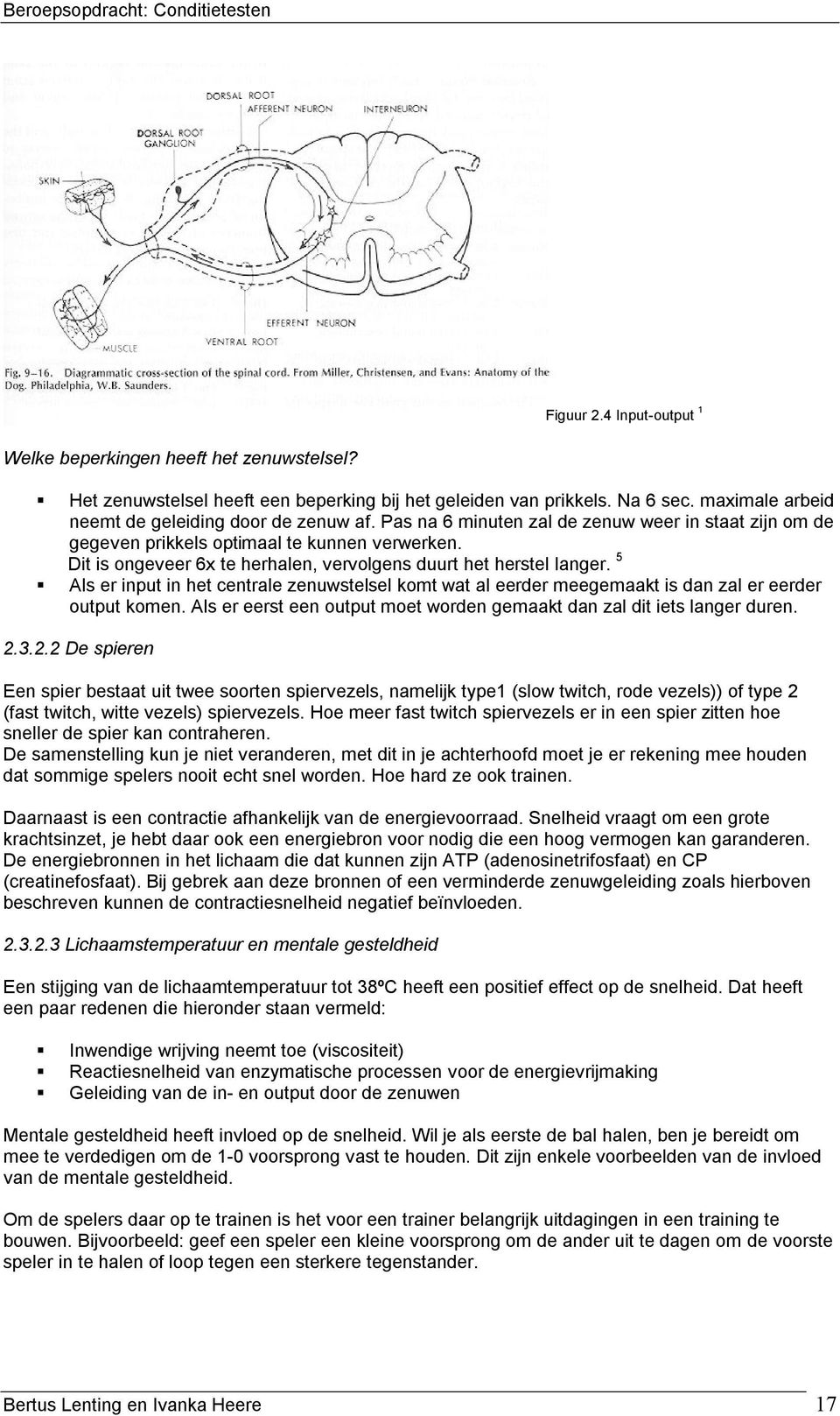 5 Als er input in het centrale zenuwstelsel komt wat al eerder meegemaakt is dan zal er eerder output komen. Als er eerst een output moet worden gemaakt dan zal dit iets langer duren. 2.