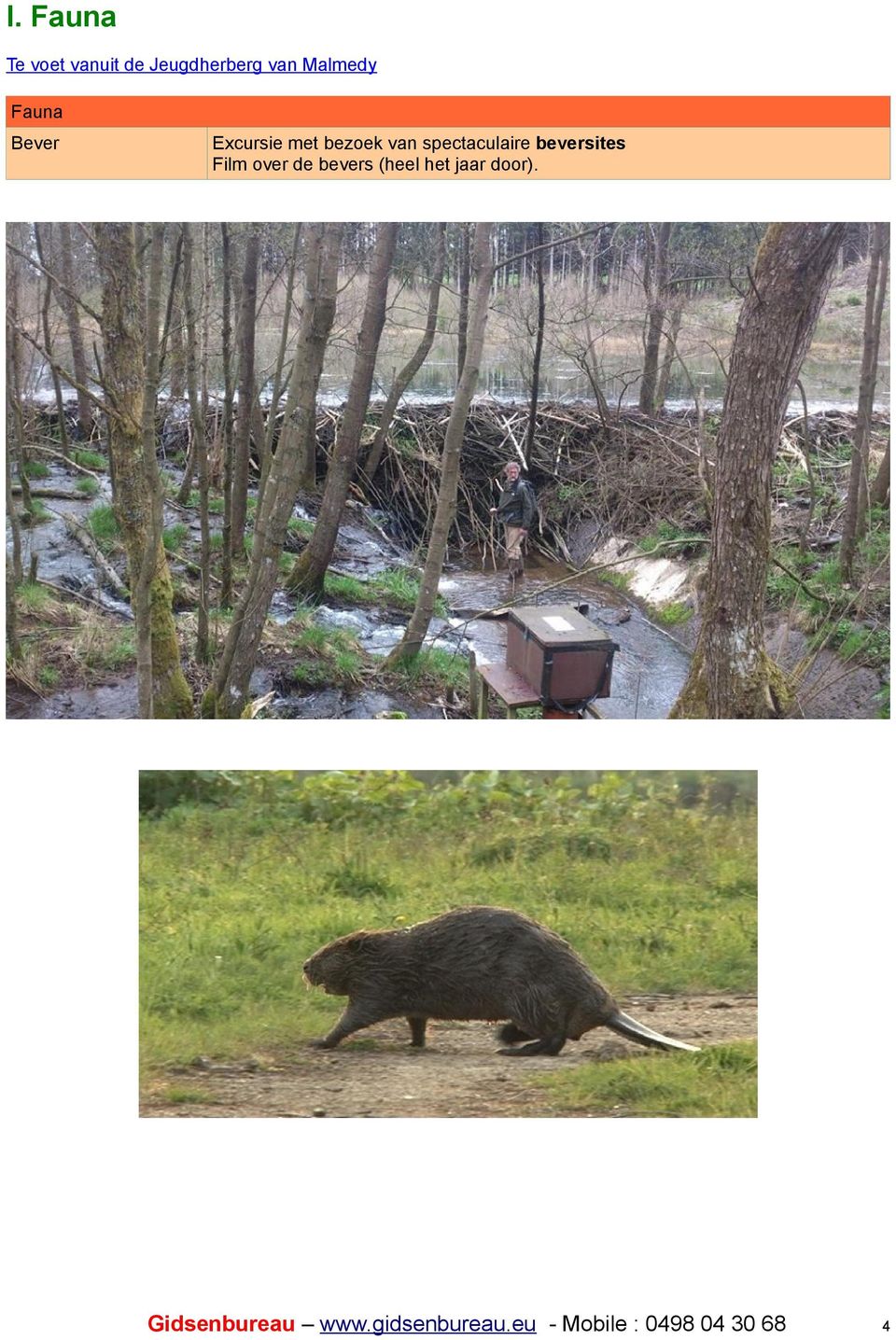 Excursie met bezoek van spectaculaire