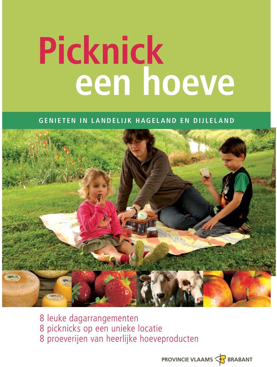 dagarrangementen 8 picknicks op een