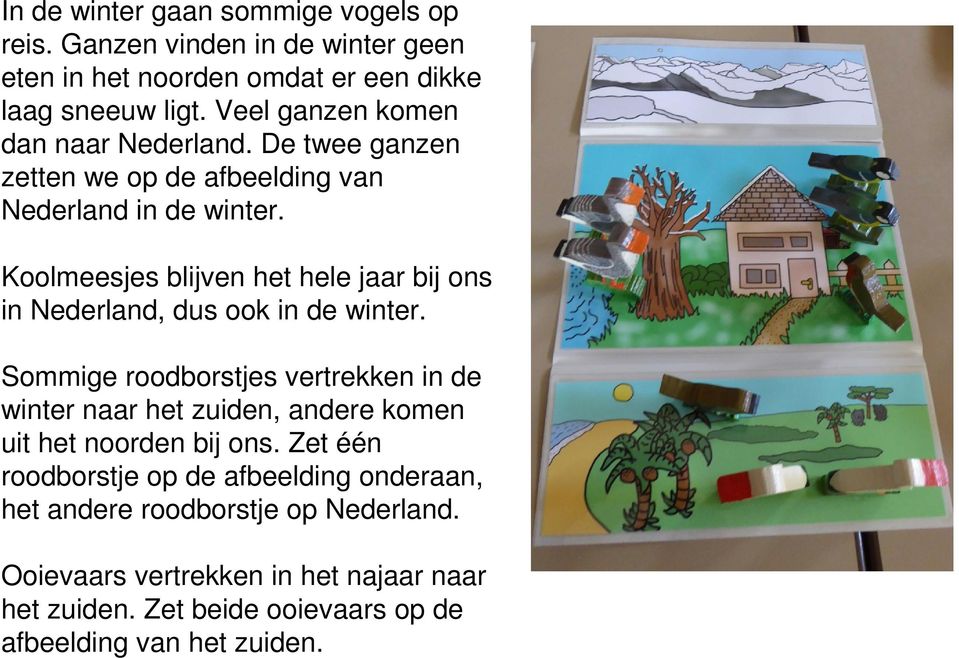 Koolmeesjes blijven het hele jaar bij ons in Nederland, dus ook in de winter.