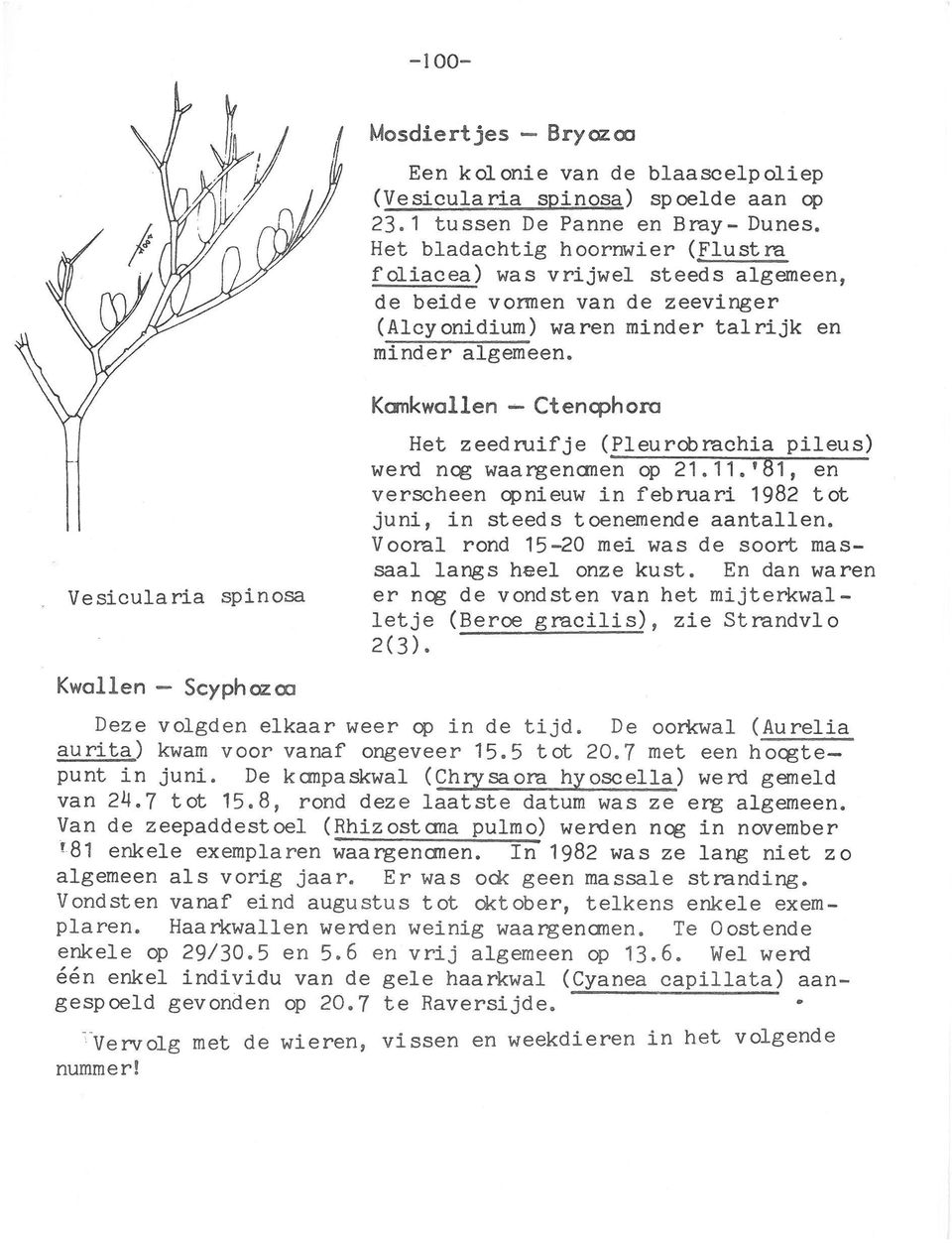 Vesicularia spinosa Kwallen - Scyphozca Kamkwallen - Ctenq3hora Het zeedruije (PI eu rob rachia pileus) werd neg waargenanen ep 21.11.