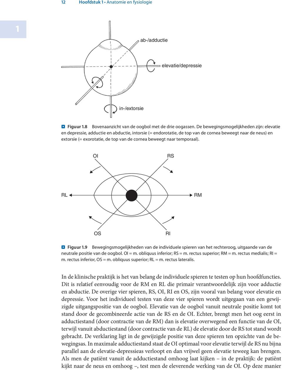 beweegt naar temporaal). OI RS RL RM OS RI. Figuur.9 Bewegingsmogelijkheden van de individuele spieren van het rechteroog, uitgaande van de neutrale positie van de oogbol. OI = m.