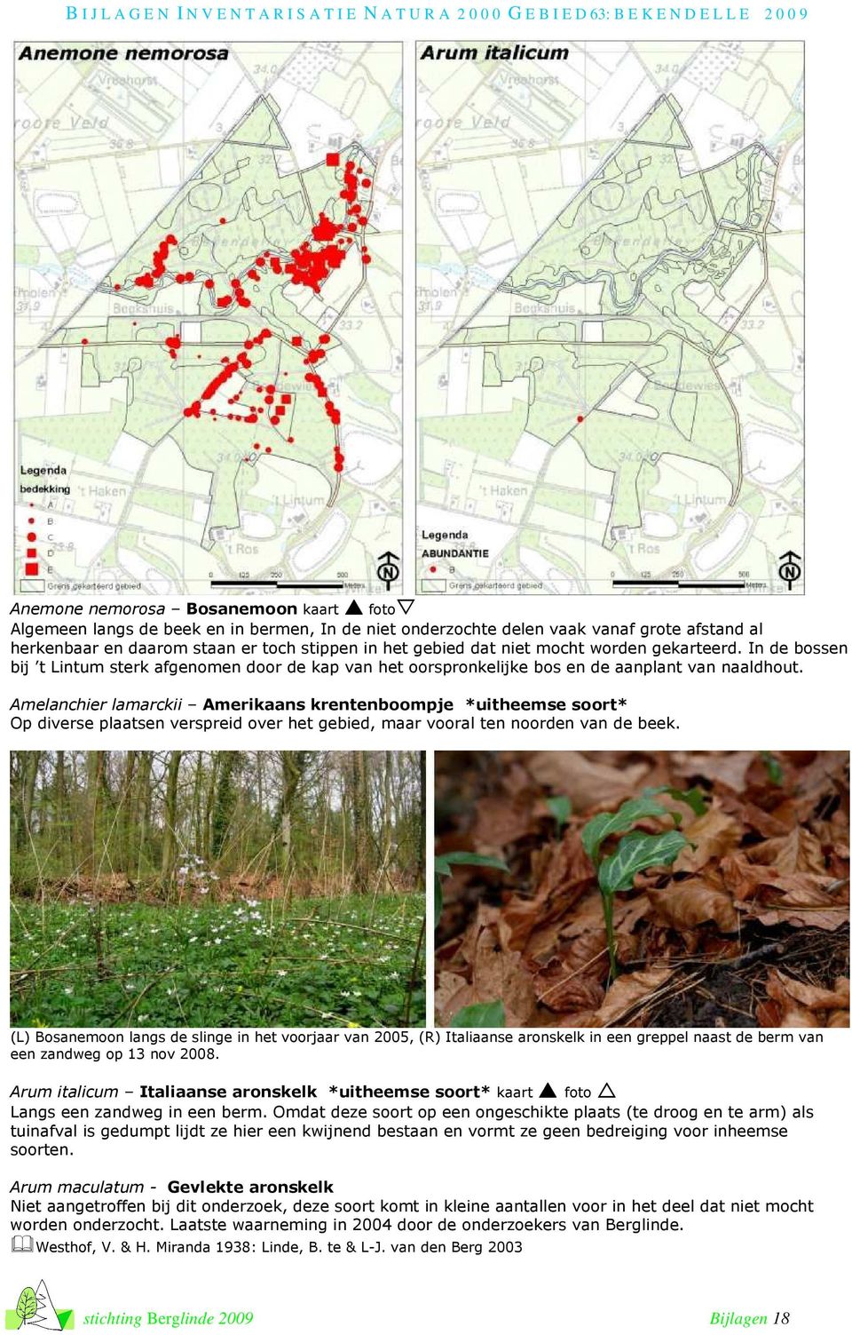 Amelanchier lamarckii Amerikaans krentenboompje *uitheemse soort* Op diverse plaatsen verspreid over het gebied, maar vooral ten noorden van de beek.