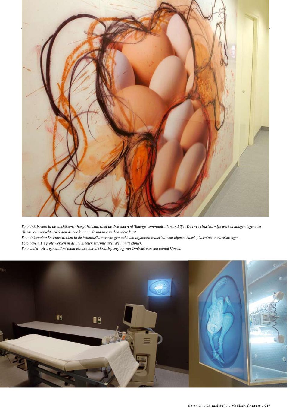 Foto linksonder: De kunstwerken in de behandelkamer zijn gemaakt van organisch materiaal van kippen: bloed, placenta s en navelstrengen.