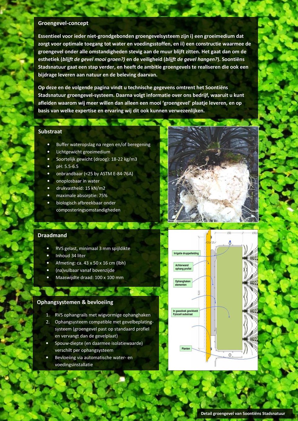 en de veiligheid (blijft de gevel hangen?). Soontiëns Stadsnatuur gaat een stap verder, en heeft de ambitie groengevels te realiseren die ook een bijdrage leveren aan natuur en de beleving daarvan.