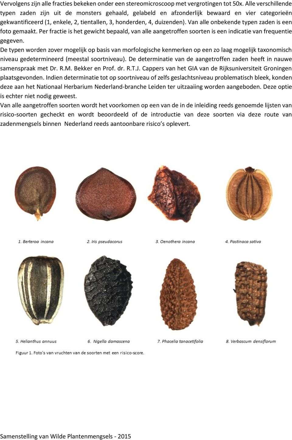 Van alle onbekende typen zaden is een foto gemaakt. Per fractie is het gewicht bepaald, van alle aangetroffen soorten is een indicatie van frequentie gegeven.