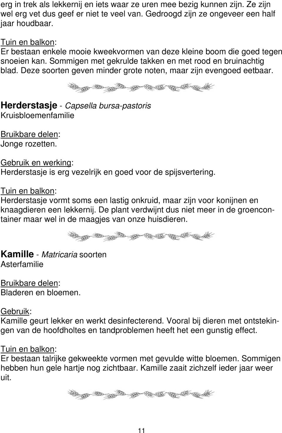 Deze soorten geven minder grote noten, maar zijn evengoed eetbaar. Herderstasje - Capsella bursa-pastoris Kruisbloemenfamilie Jonge rozetten.