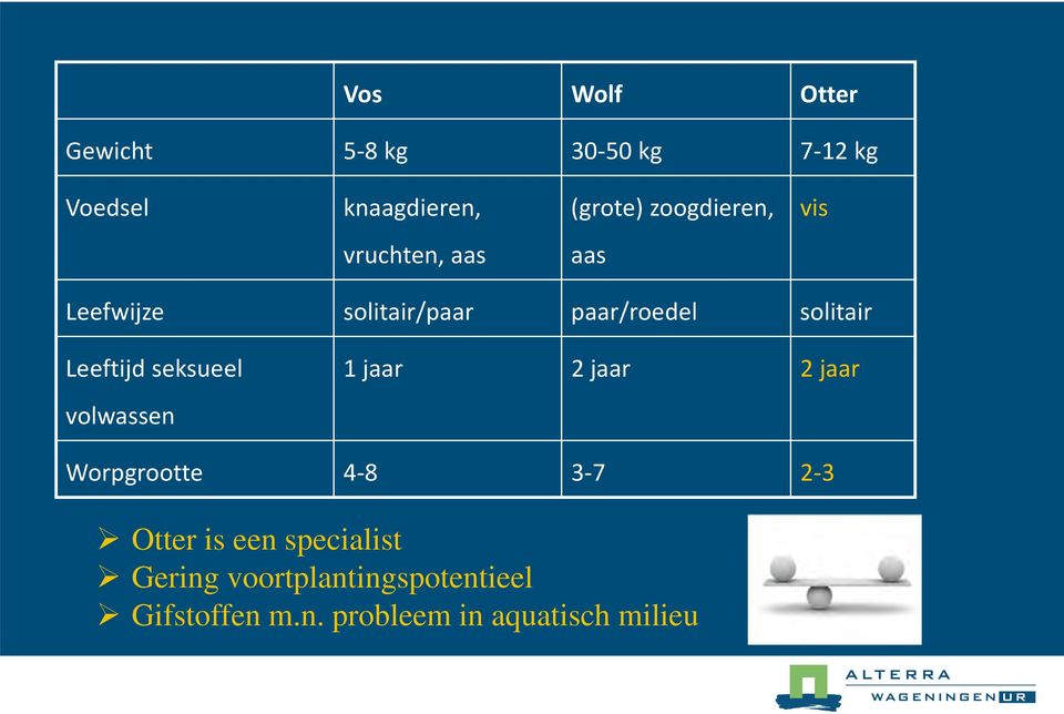 Leeftijd seksueel volwassen 1 jaar 2 jaar 2 jaar Worpgrootte 4 8 3 7 2 3 Otter is