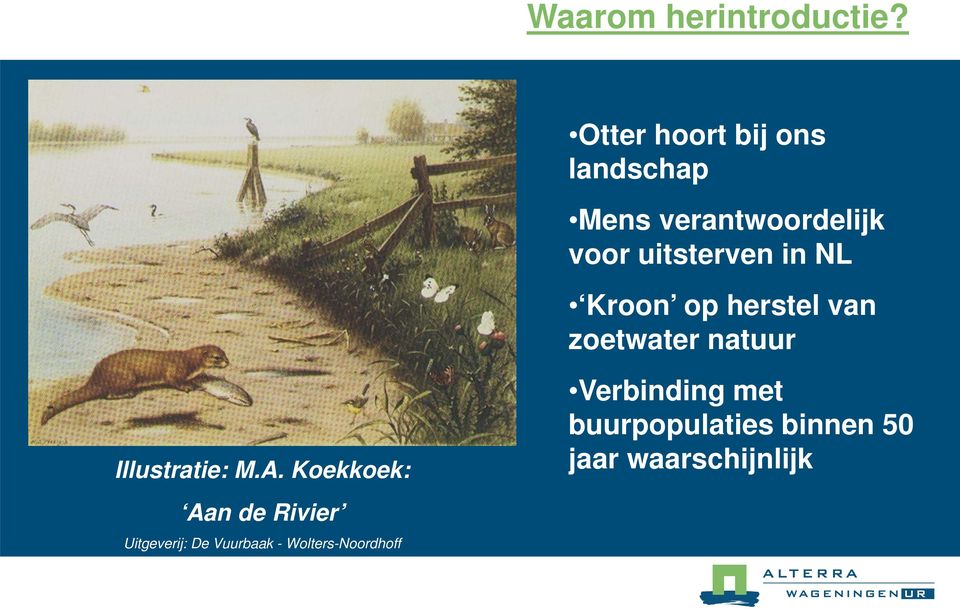 in NL Kroon op herstel van zoetwater natuur Illustratie: M.A.