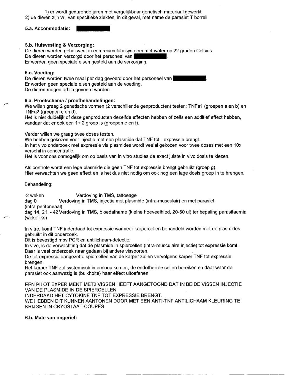 De dieren mogen ad lib gevoerd worden. 6.a. Proefschema / proefbehandelingen: We willen graag genetische vormen ( verschillende genproducten) testen: TNFal (groepen a en b) en TNFa (groepen c en d).