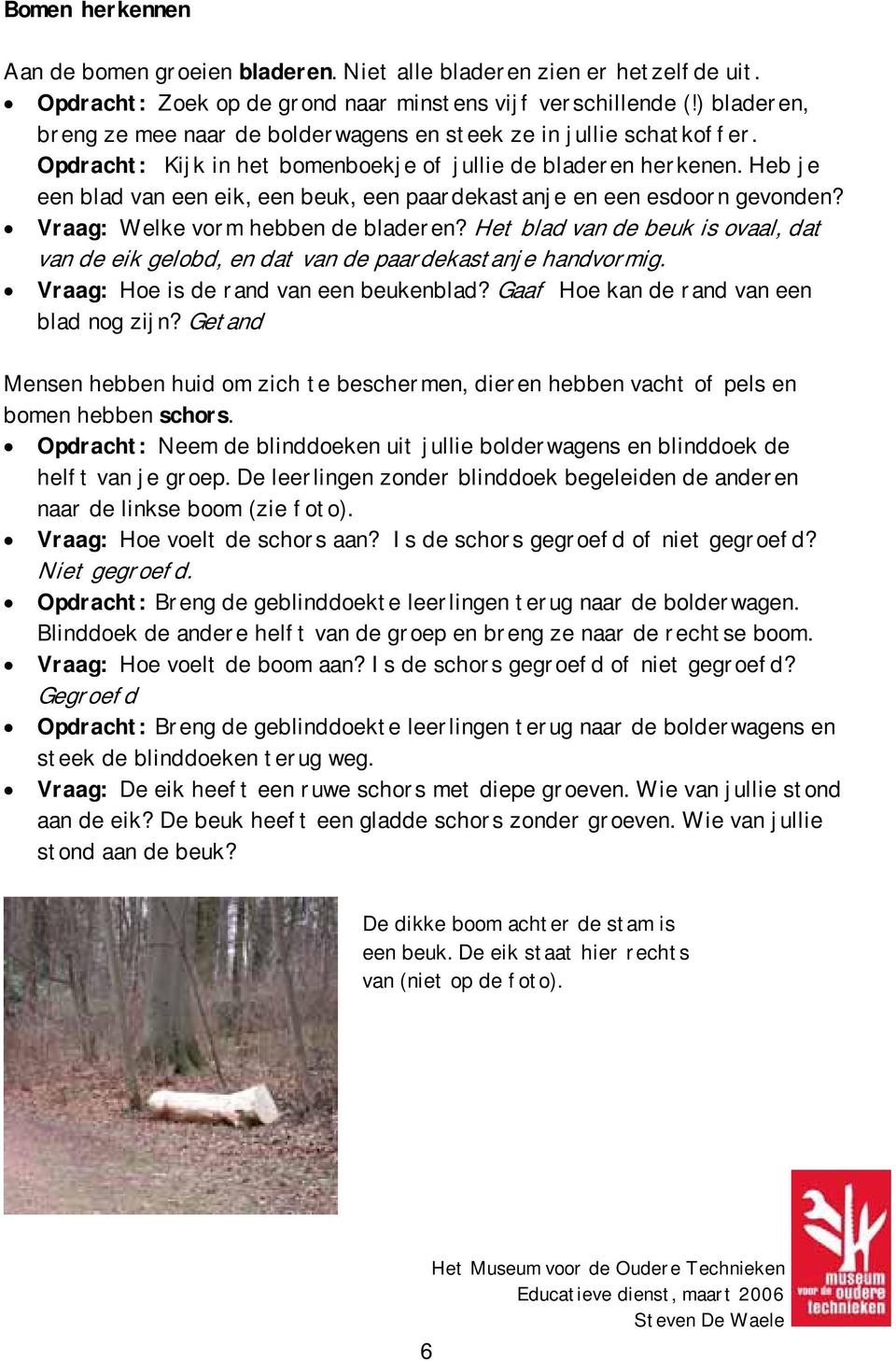 Heb je een blad van een eik, een beuk, een paardekastanje en een esdoorn gevonden? Vraag: Welke vorm hebben de bladeren?