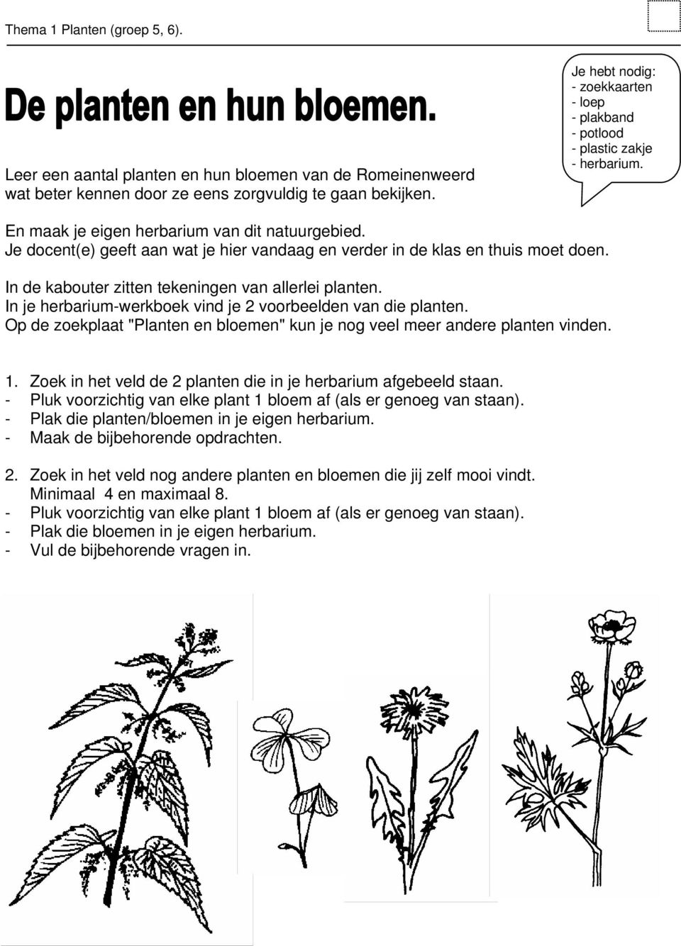 Je docent(e) geeft aan wat je hier vandaag en verder in de klas en thuis moet doen. In de kabouter zitten tekeningen van allerlei planten.