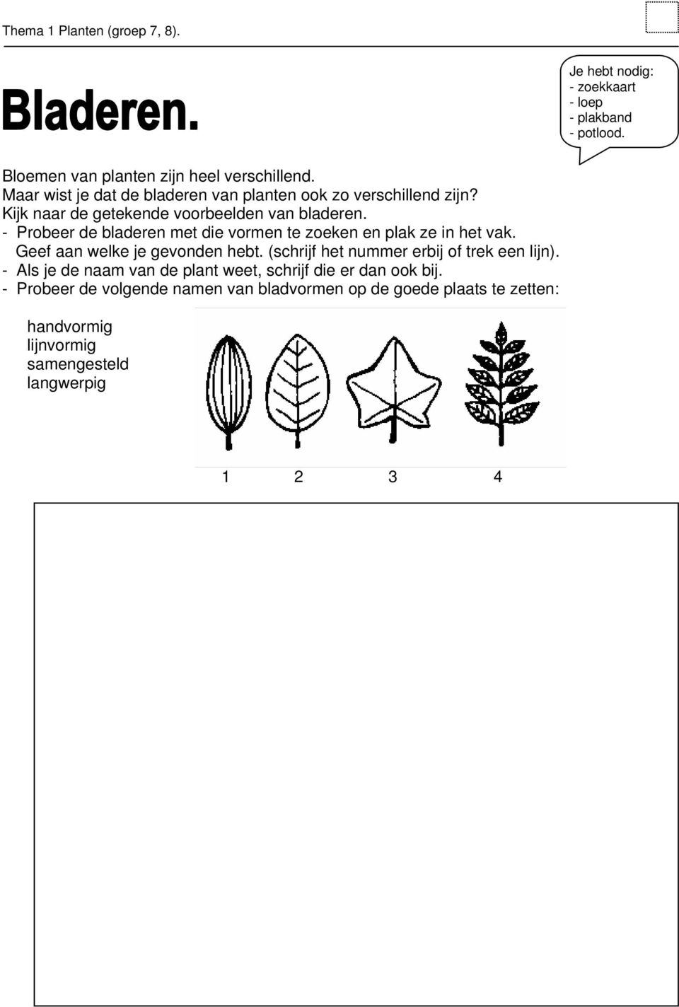 - Probeer de bladeren met die vormen te zoeken en plak ze in het vak. Geef aan welke je gevonden hebt.