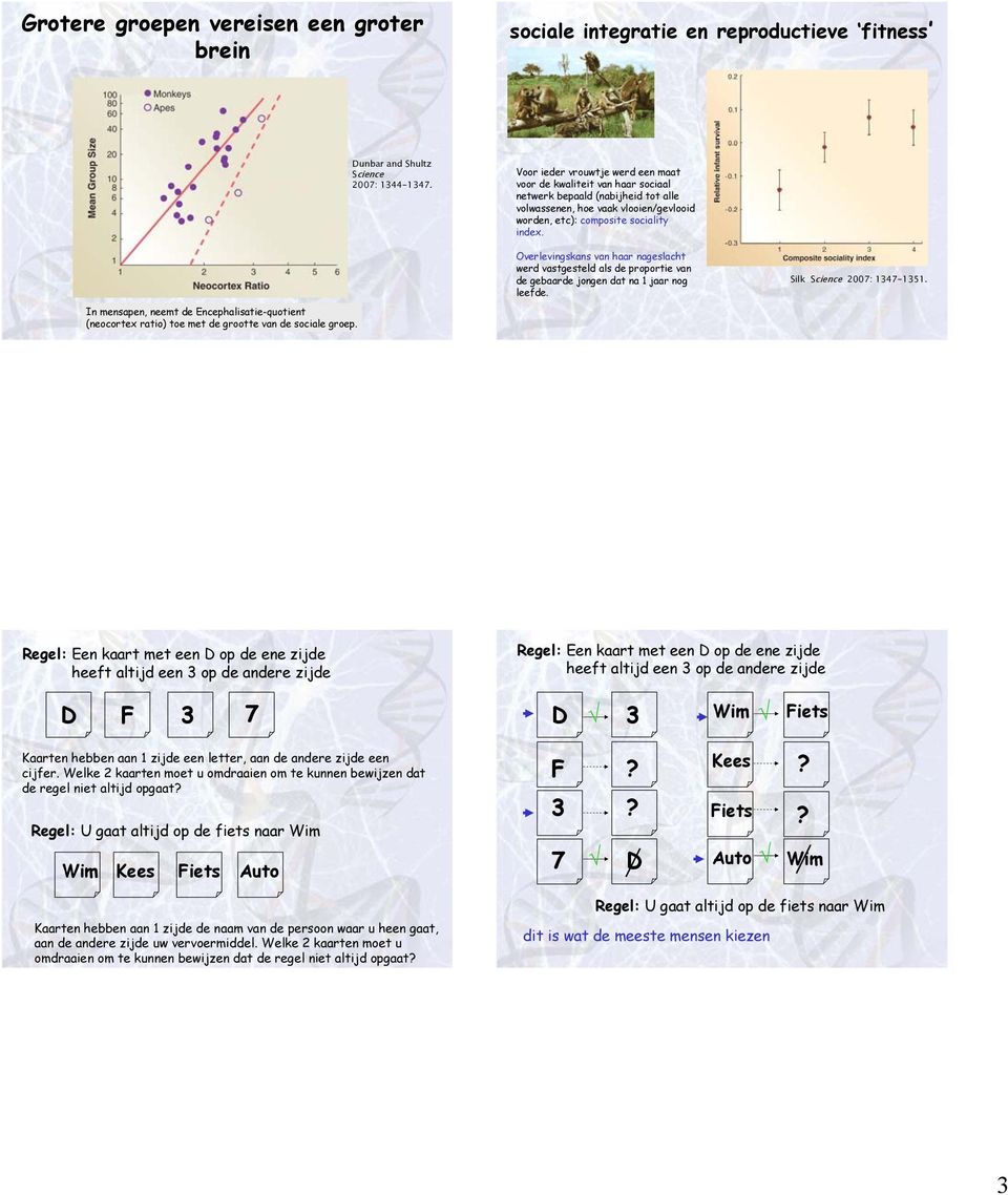 In mensapen, neemt de Encephalisatie-quotient (neocortex ratio) toe met de grootte van de sociale groep.