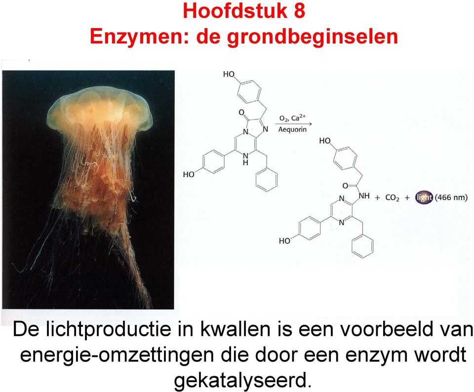 kwallen is een voorbeeld van