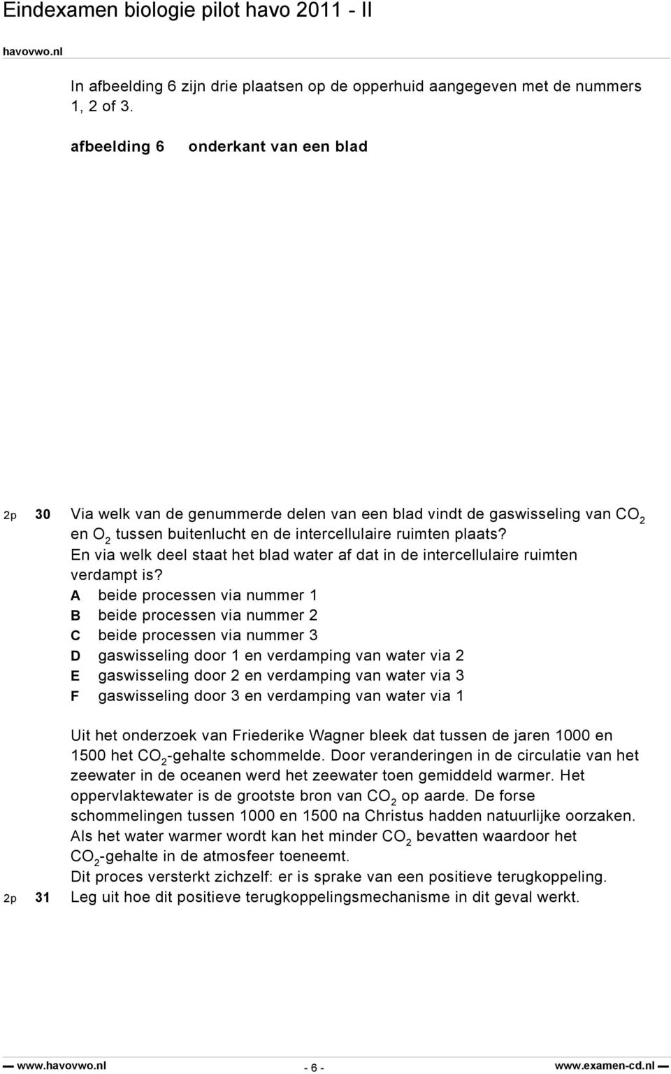 En via welk deel staat het blad water af dat in de intercellulaire ruimten verdampt is?