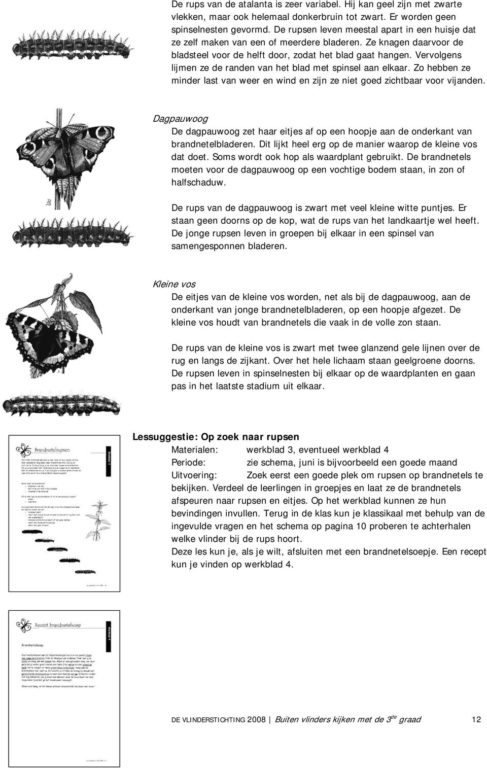 Vervolgens lijmen ze de randen van het blad met spinsel aan elkaar. Zo hebben ze minder last van weer en wind en zijn ze niet goed zichtbaar voor vijanden.