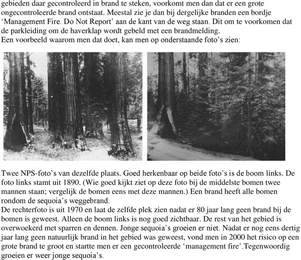 Een voorbeeld waarom men dat doet, kan men op onderstaande foto s zien: Twee NPS-foto s van dezelfde plaats. Goed herkenbaar op beide foto s is de boom links. De foto links stamt uit 1890.