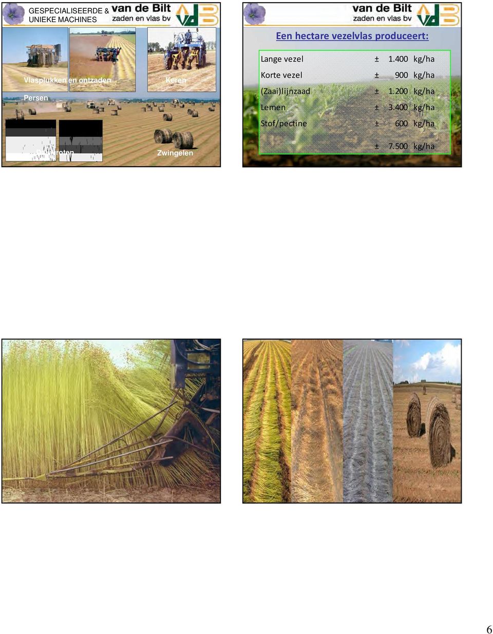 400 kg/ha Korte vezel ± 900 kg/ha (Zaai)lijnzaad ± 1.