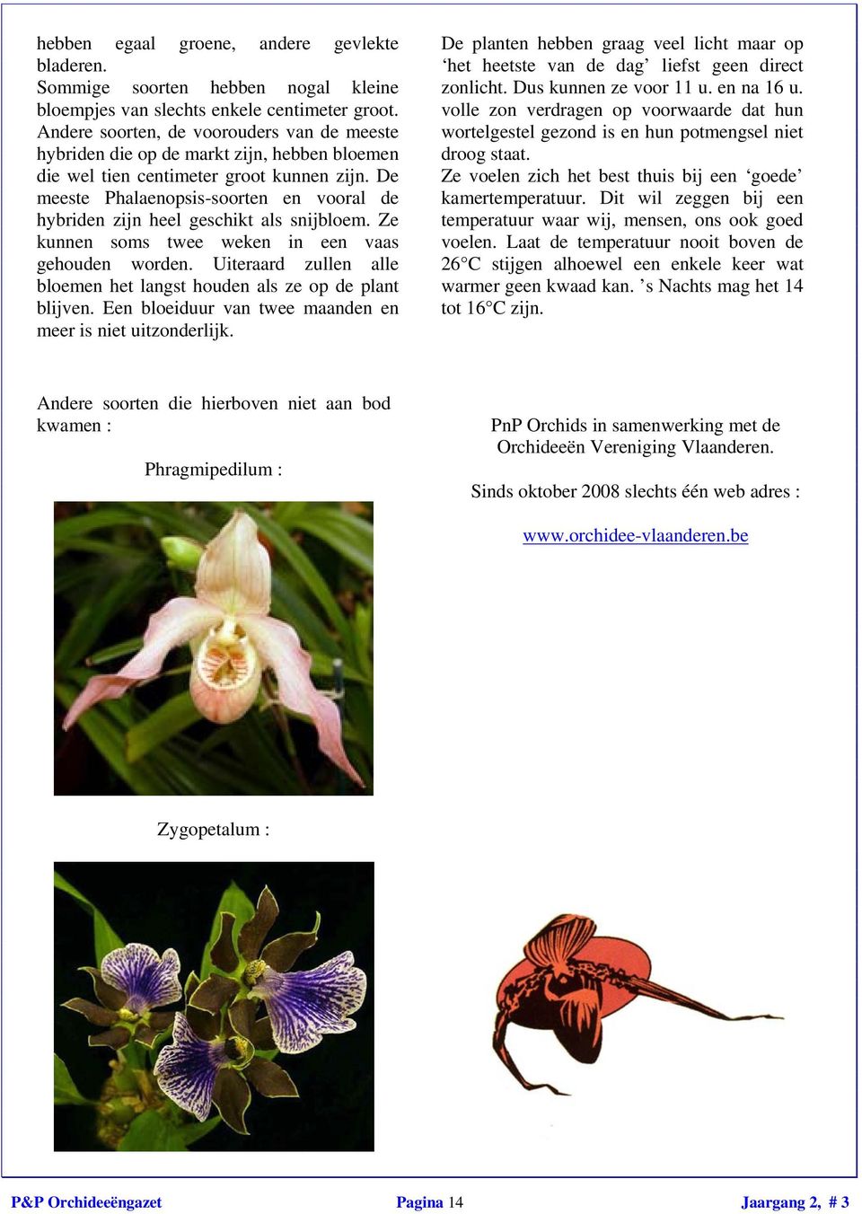 De meeste Phalaenopsis-soorten en vooral de hybriden zijn heel geschikt als snijbloem. Ze kunnen soms twee weken in een vaas gehouden worden.