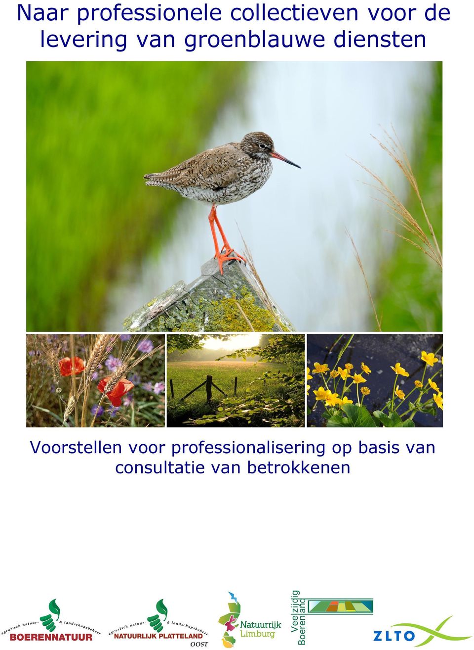 Voorstellen voor professionalisering