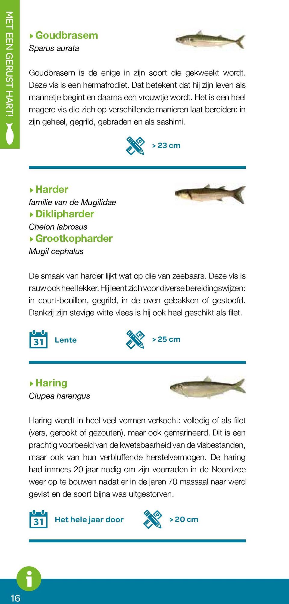 Het is een heel magere vis die zich op verschillende manieren laat bereiden: in zijn geheel, gegrild, gebraden en als sashimi.